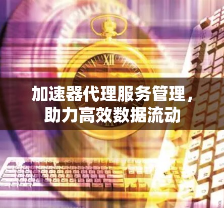 加速器代理服务管理，助力高效数据流动