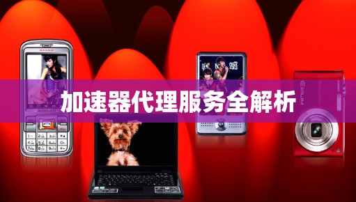 加速器代理服务全解析
