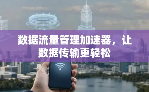 数据流量管理加速器，让数据传输更轻松