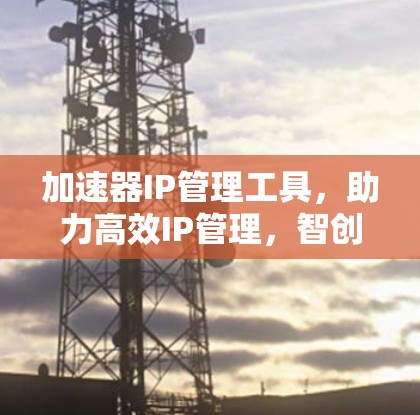 加速器IP管理工具，助力高效IP管理，智创未来