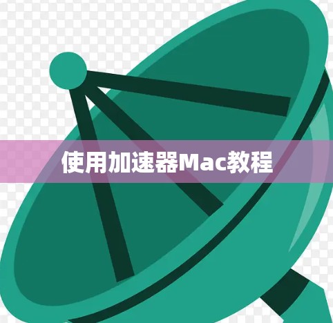 使用加速器Mac教程