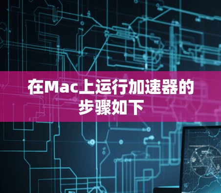 在Mac上运行加速器的步骤如下