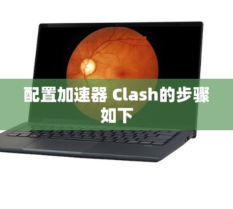 配置加速器 Clash的步骤如下