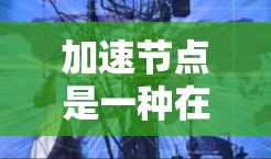 加速节点是一种在软件或数据库中合并多个节点到一个主节点的技术，以提高整体性能。以下是详细的步骤指南