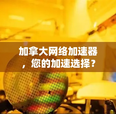 加拿大网络加速器，您的加速选择？