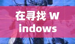 在寻找 Windows 内置 VPN 加速器或免费 VPN 加速软件时，以下是一些推荐选项