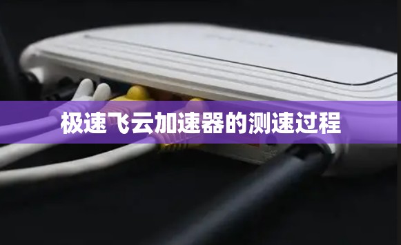 极速飞云加速器的测速过程