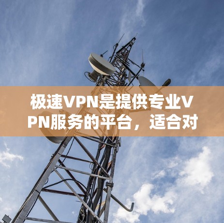 极速VPN是提供专业VPN服务的平台，适合对网络安全要求较高的用户。以下是使用极速VPN的下载及安装教程