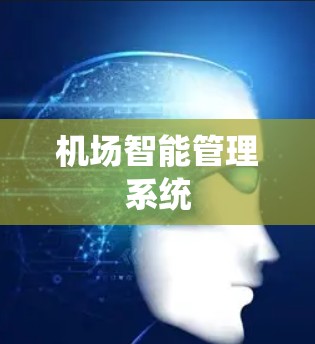 机场智能管理系统