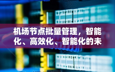 机场节点批量管理，智能化、高效化、智能化的未来展望