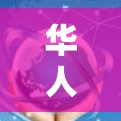 华人常用VPN软件，数字加密与隐私保护