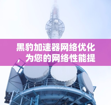 黑豹加速器网络优化，为您的网络性能提升2%