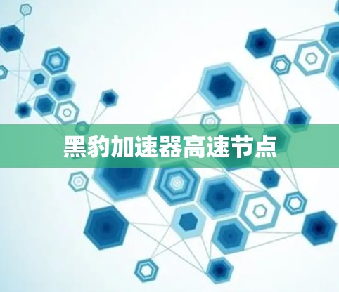 黑豹加速器高速节点