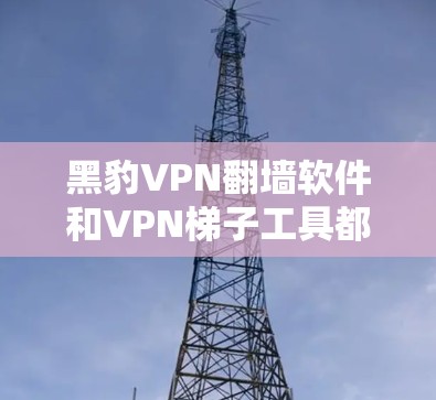 黑豹VPN翻墙软件和VPN梯子工具都是用于VPN技术的工具，但它们各有侧重和应用场景。以下是对这两种工具的详细介绍