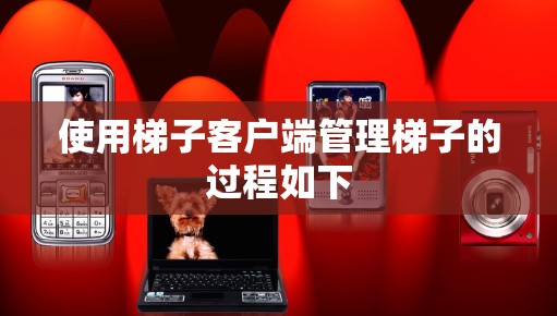使用梯子客户端管理梯子的过程如下