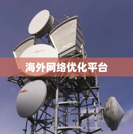 海外网络优化平台