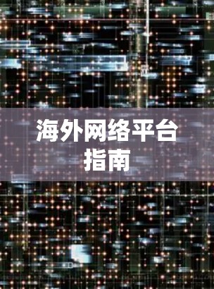 海外网络平台指南