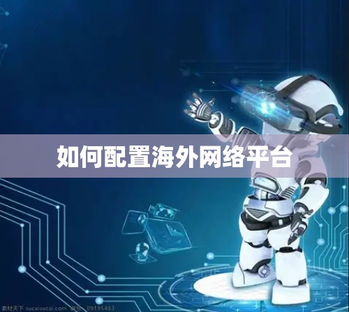 如何配置海外网络平台