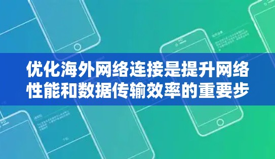 优化海外网络连接是提升网络性能和数据传输效率的重要步骤。以下是一步步的优化建议