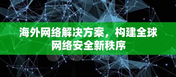 海外网络解决方案，构建全球网络安全新秩序