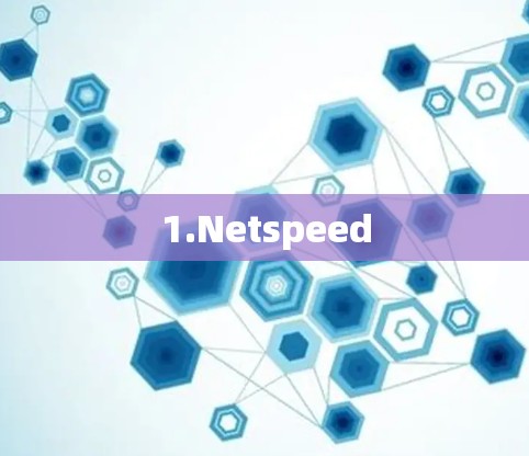 1.Netspeed