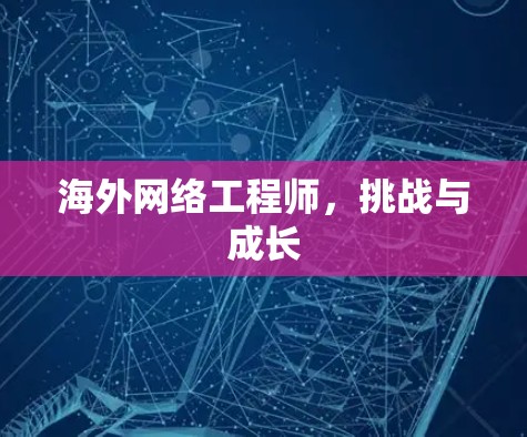 海外网络工程师，挑战与成长
