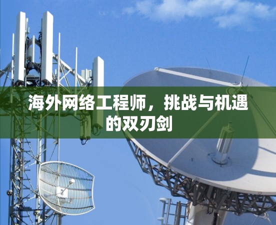 海外网络工程师，挑战与机遇的双刃剑