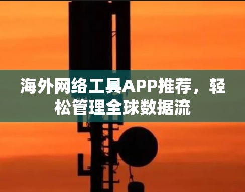海外网络工具APP推荐，轻松管理全球数据流