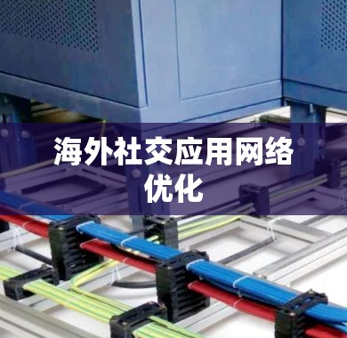 海外社交应用网络优化