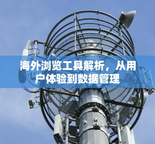 海外浏览工具解析，从用户体验到数据管理