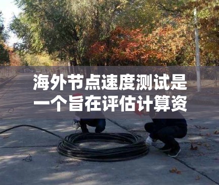 海外节点速度测试是一个旨在评估计算资源在非本地设备上运行性能的技巧。以下是对海外节点速度测试的详细分析