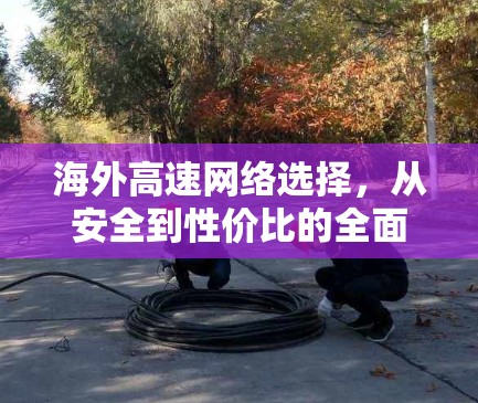 海外高速网络选择，从安全到性价比的全面解析