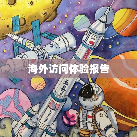 海外访问体验报告