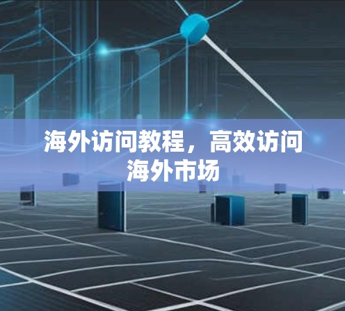 海外访问教程，高效访问海外市场