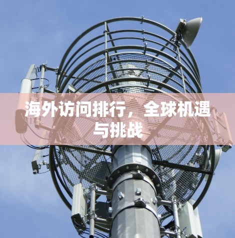 海外访问排行，全球机遇与挑战