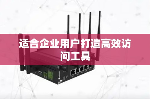 适合企业用户打造高效访问工具
