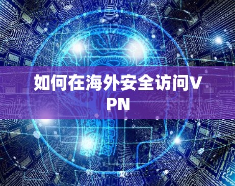 如何在海外安全访问VPN
