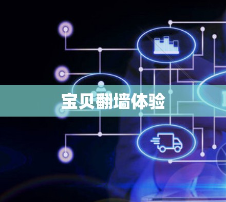 宝贝翻墙体验