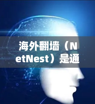 海外翻墙（NetNest）是通过网络访问到海外服务器的解决方案，通常用于访问其他国家的网站、应用程序或内容。翻墙评测是指对不同翻墙服务进行的比较和评价，以帮助用户选择最适合自己的翻墙工具