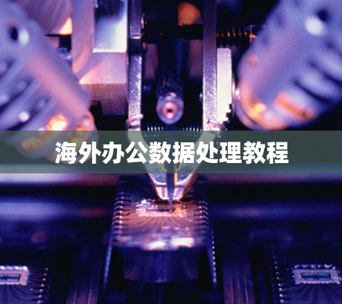 海外办公数据处理教程