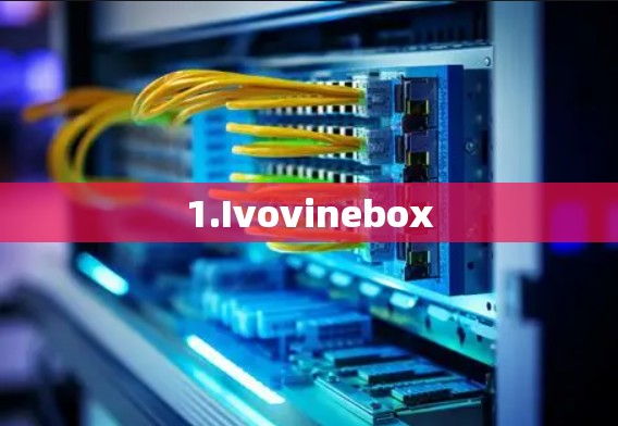 1.Ivovinebox