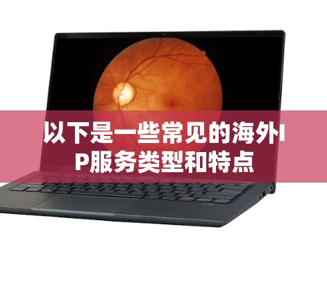 以下是一些常见的海外IP服务类型和特点