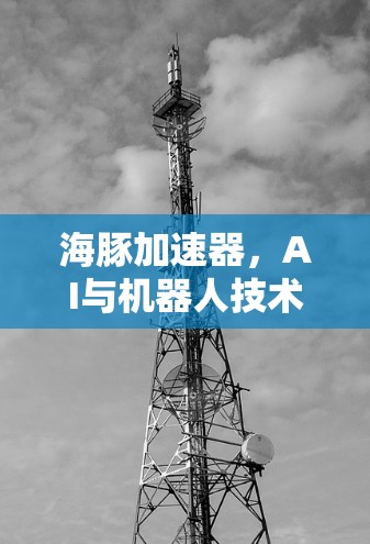 海豚加速器，AI与机器人技术的未来挑战与突破