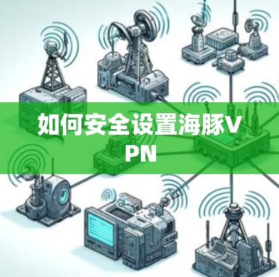 如何安全设置海豚VPN