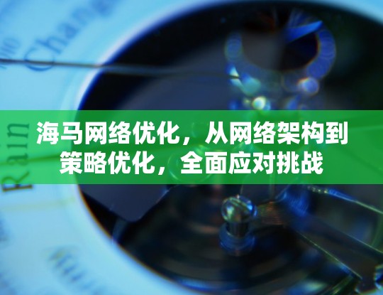 海马网络优化，从网络架构到策略优化，全面应对挑战