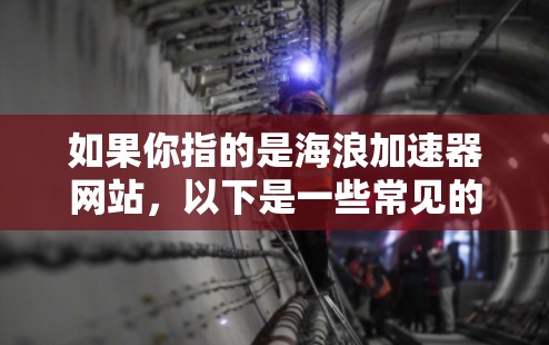 如果你指的是海浪加速器网站，以下是一些常见的访问入口和操作步骤，帮助你找到并访问该网站
