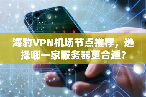 海豹VPN机场节点推荐，选择哪一家服务器更合适？