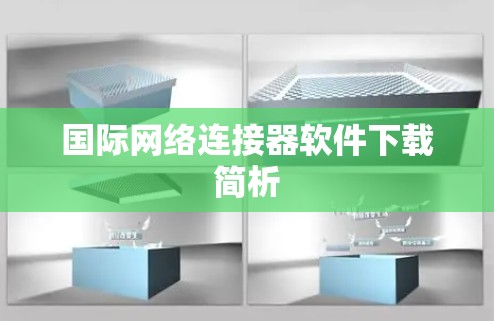 国际网络连接器软件下载简析