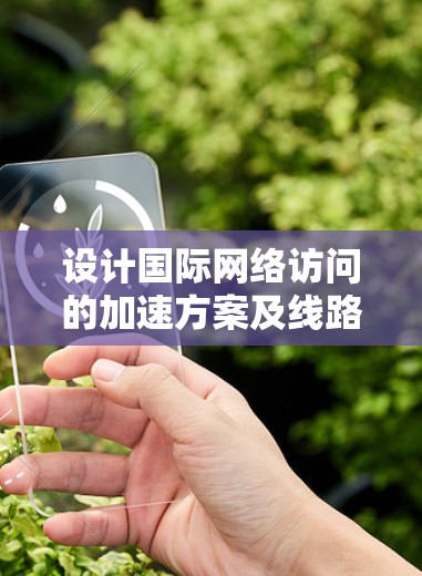 设计国际网络访问的加速方案及线路选择技巧，可以分为以下步骤