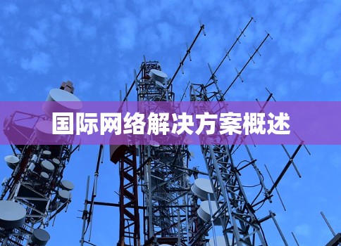 国际网络解决方案概述